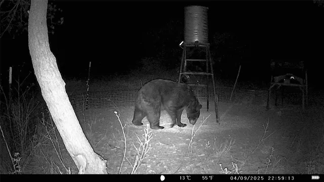a view of entryway and hall