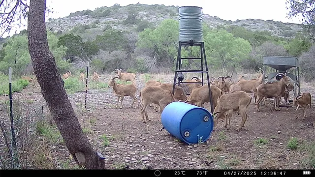 a view of a couches in backyard of the house