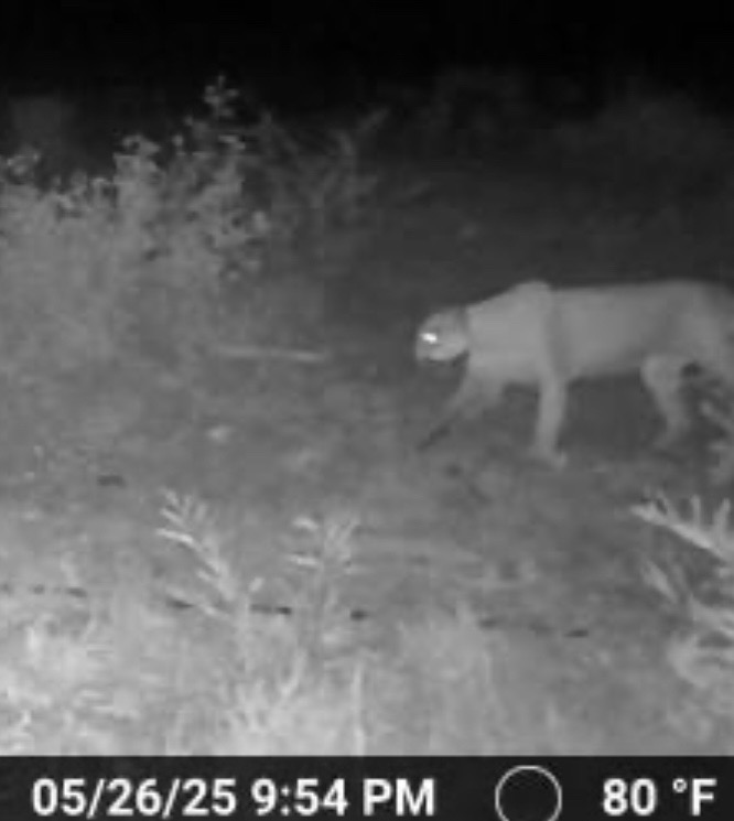1922 SD 65071 Del Rio, TX 78840 - Photo 38 of 40