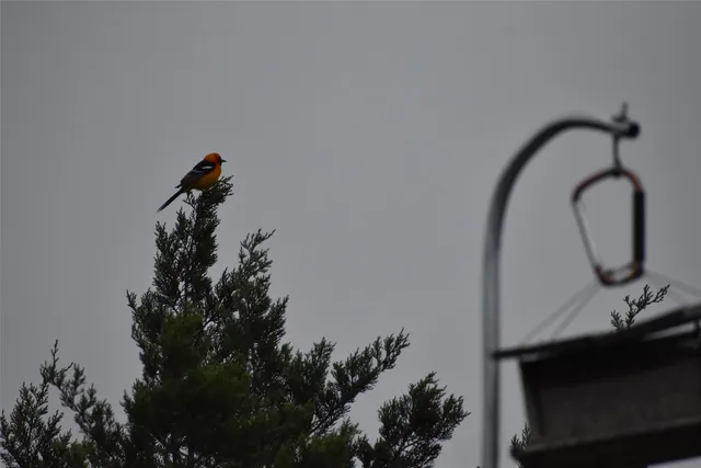 $1,150,000 | 1922 SD 65071, Del Rio, TX 78840