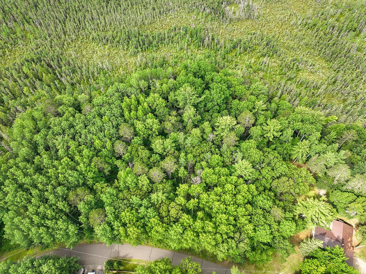 On Cottage Road Tomahawk, WI 54487 - Photo 6 of 23 Gallery Image 6