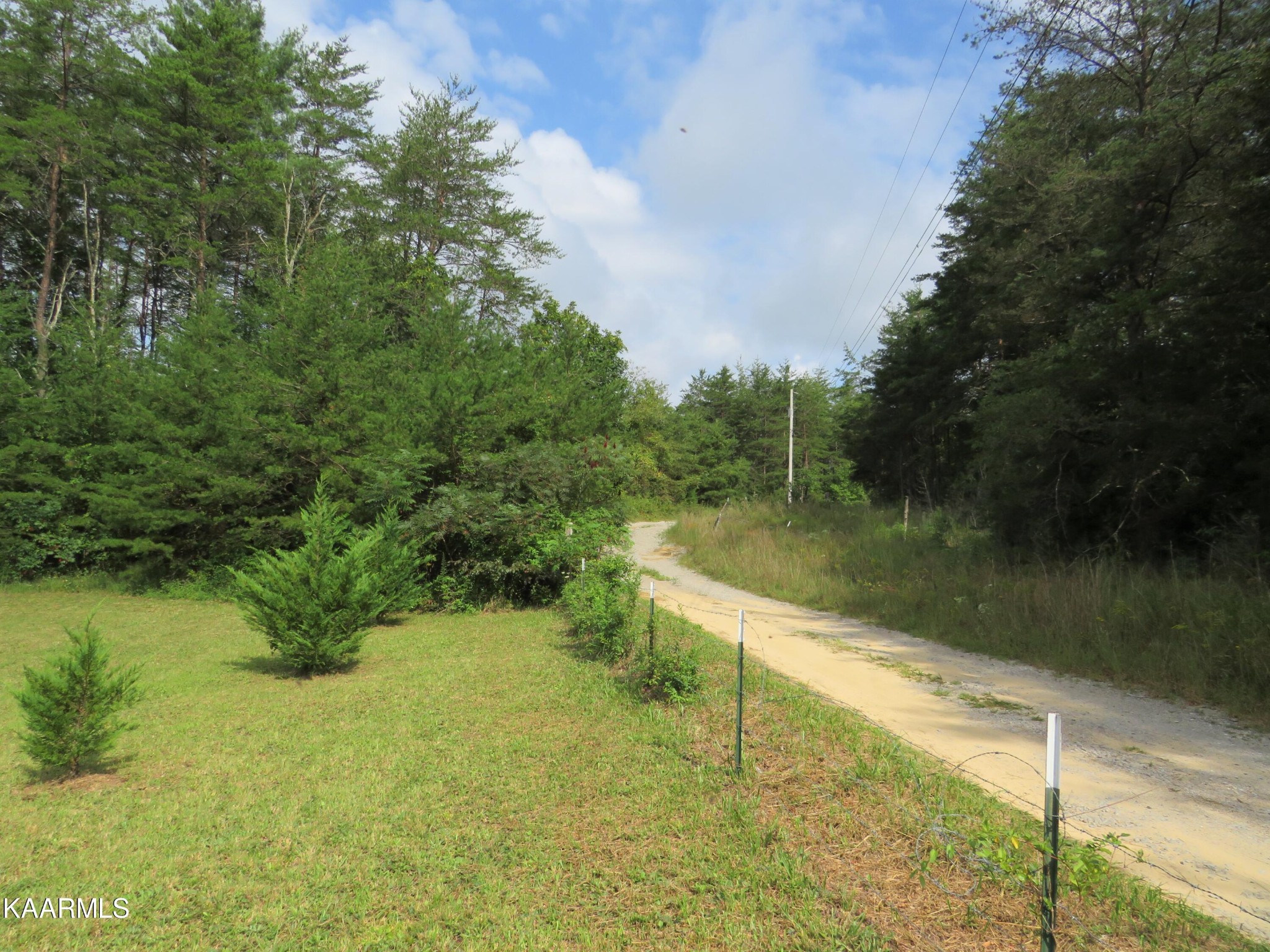 266 Ross Williams Road Lancing, TN 37770 - Photo 30 of 39 a view of a lake view with a garden