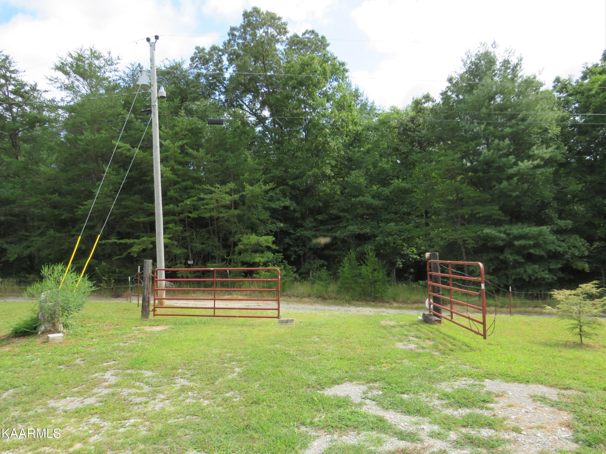 266 Ross Williams Road Lancing, TN 37770 - Photo 31 of 39 a view of a park with a bench