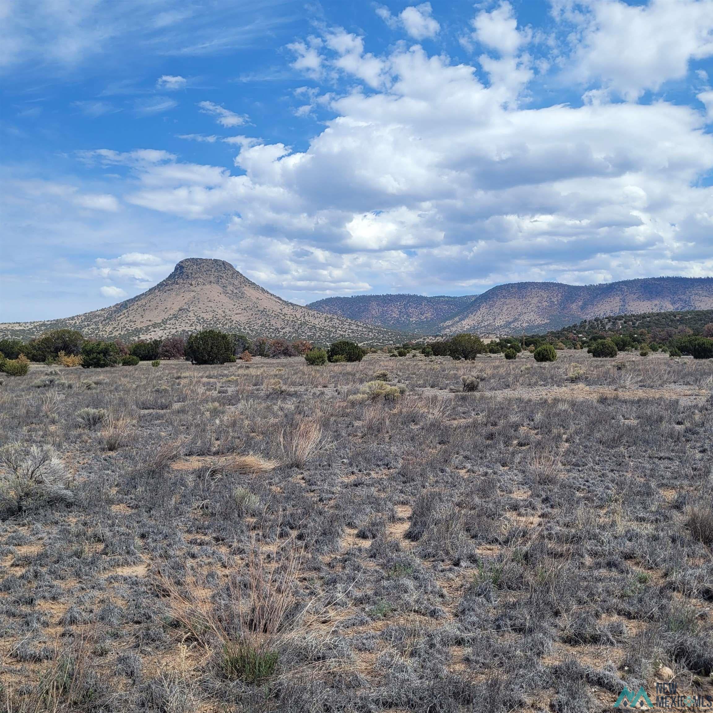 46 Southern Trail Datil, NM 87821 - Photo 1 of 10