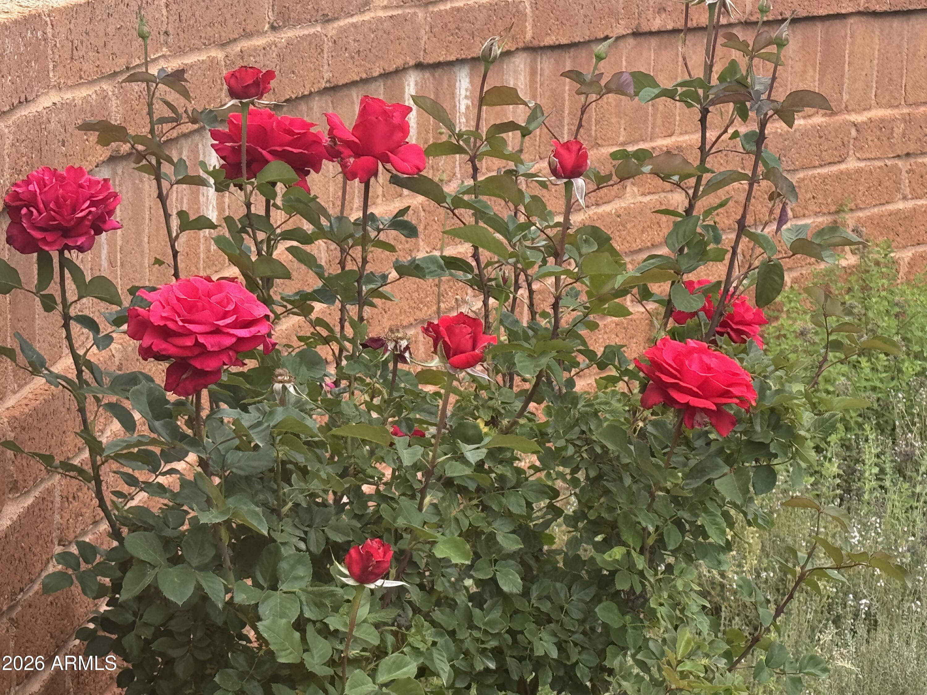 505 Morgan Road Sedona, AZ 86336 - Photo 50 of 55 ROSE LOVERS GARDEN