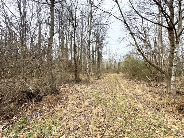 $62,900 | Tbd Pardue Street, Jonesville, NC 28642