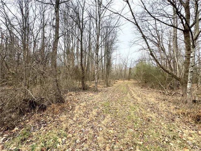 $62,900 | Tbd Pardue Street, Jonesville, NC 28642