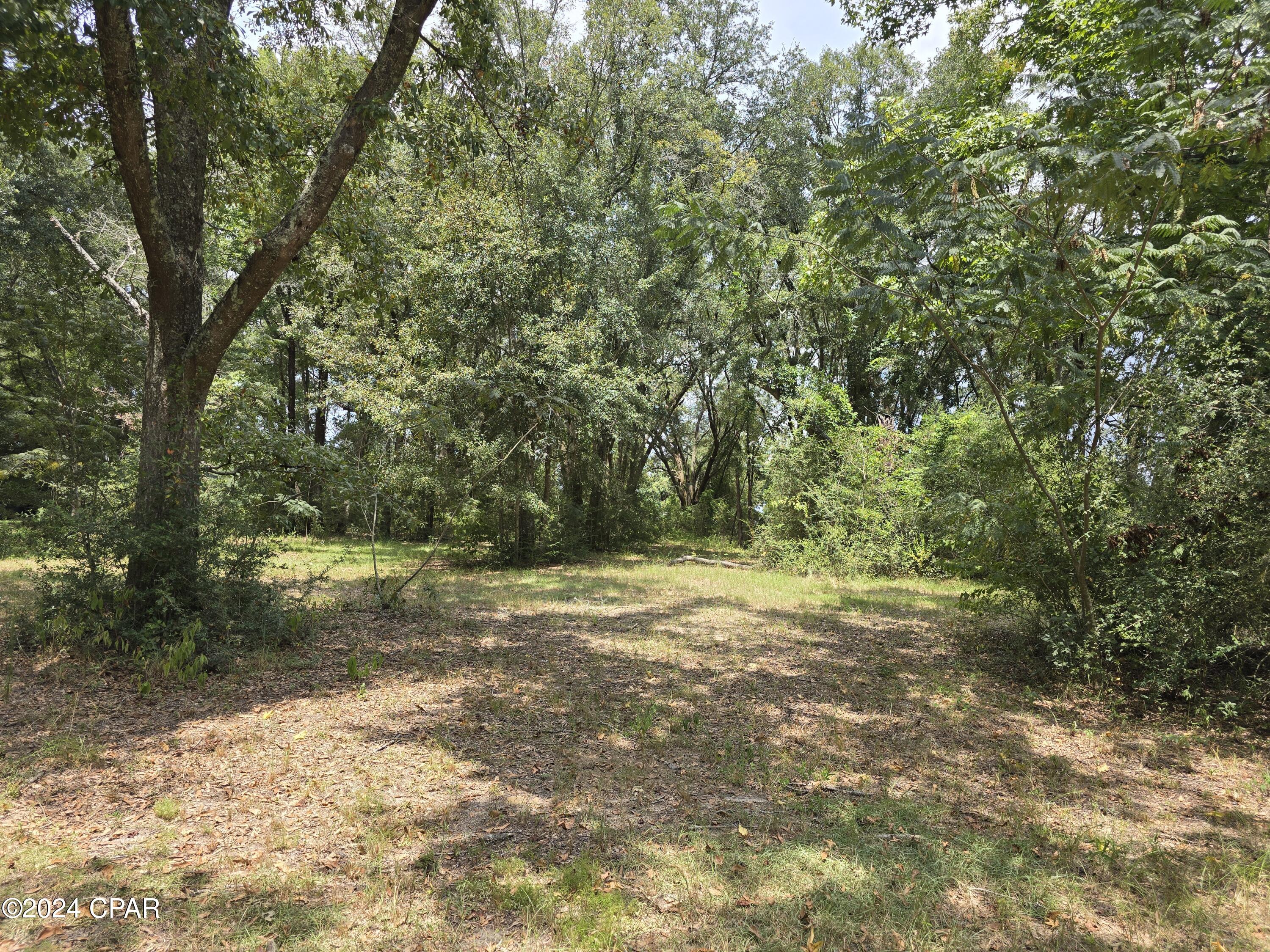 2412 J W Miller Road Bonifay, FL 32425 - Photo 30 of 42 Gallery Image 30