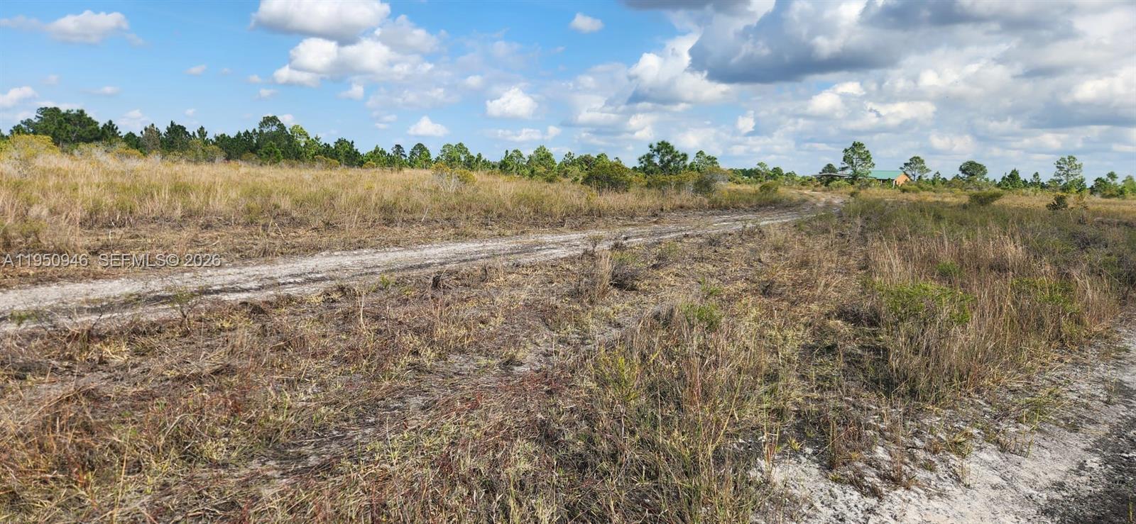 48345 Bermont Road Punta Gorda, FL 33982 - Photo 11 of 18 a view of a lake from a yard