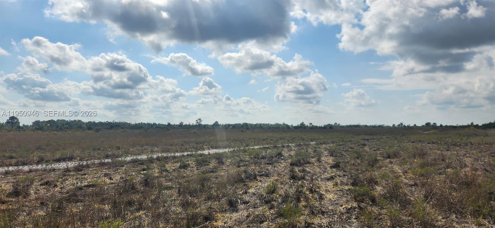 48345 Bermont Road Punta Gorda, FL 33982 - Photo 12 of 18