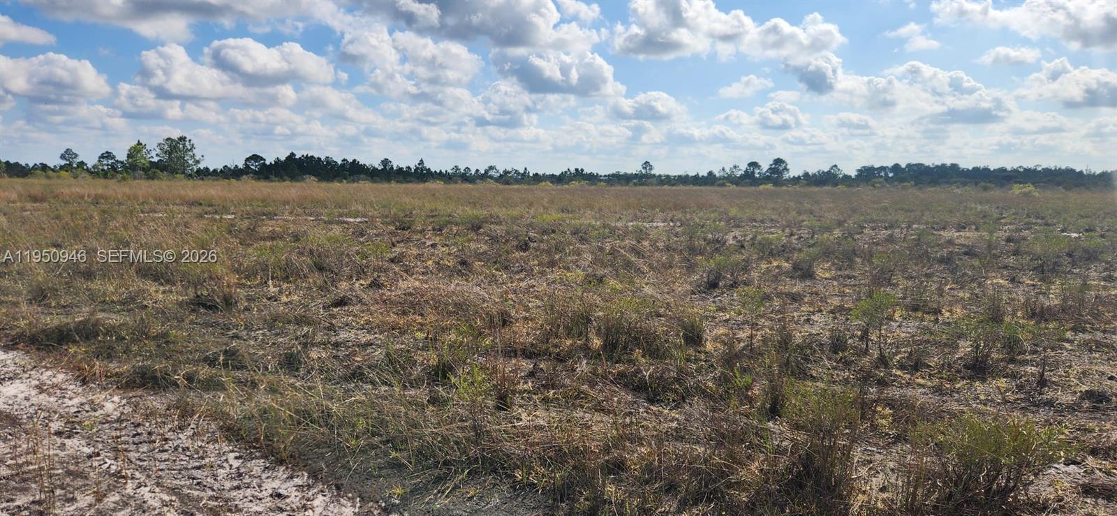 48345 Bermont Road Punta Gorda, FL 33982 - Photo 13 of 18