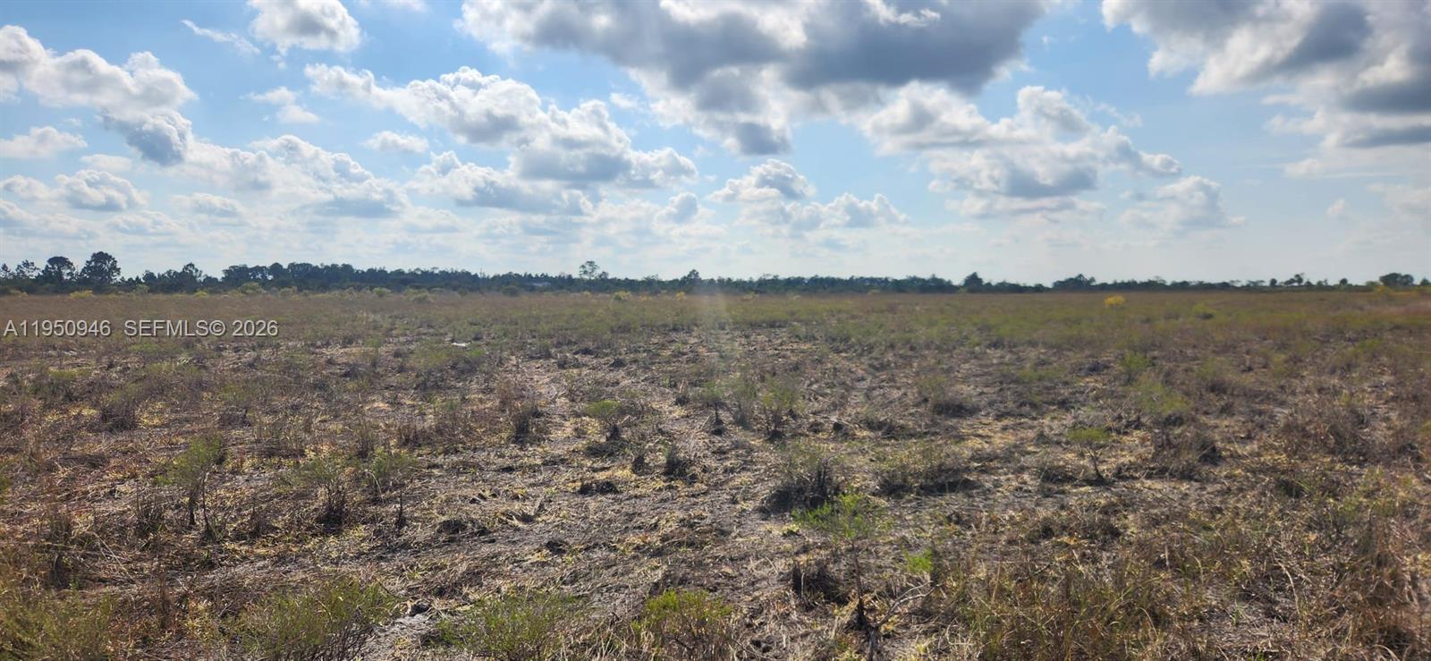 48345 Bermont Road Punta Gorda, FL 33982 - Photo 14 of 18 a view of a lake from a yard