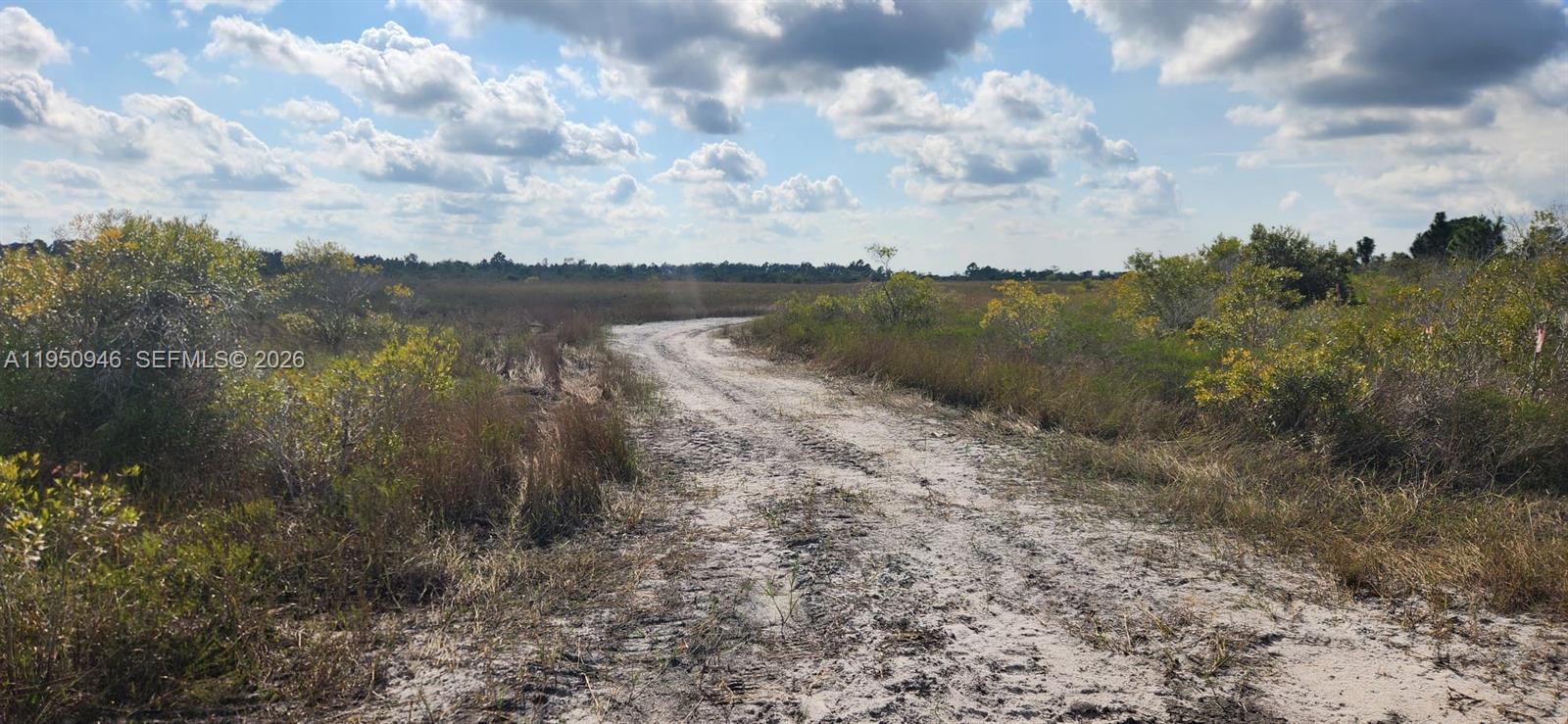 48345 Bermont Road Punta Gorda, FL 33982 - Photo 15 of 18