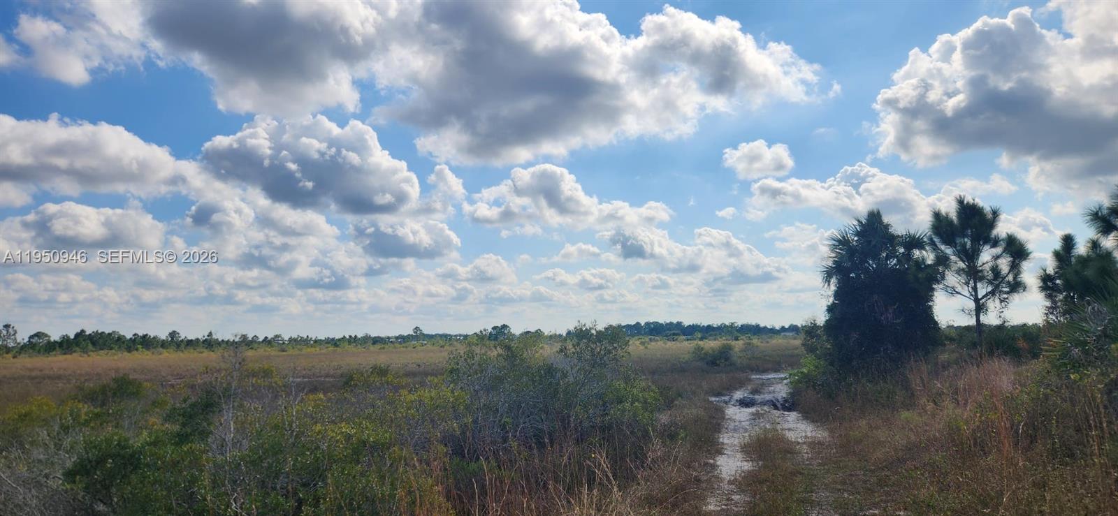 48345 Bermont Road Punta Gorda, FL 33982 - Photo 17 of 18 a view of a lake from a yard