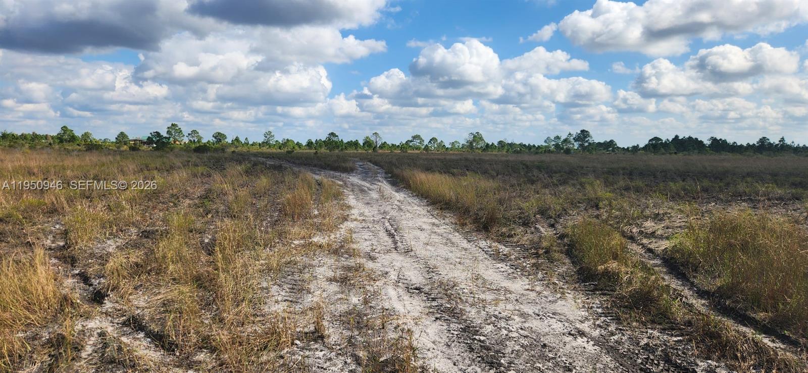 48345 Bermont Road Punta Gorda, FL 33982 - Photo 18 of 18 a view of a lake from a yard