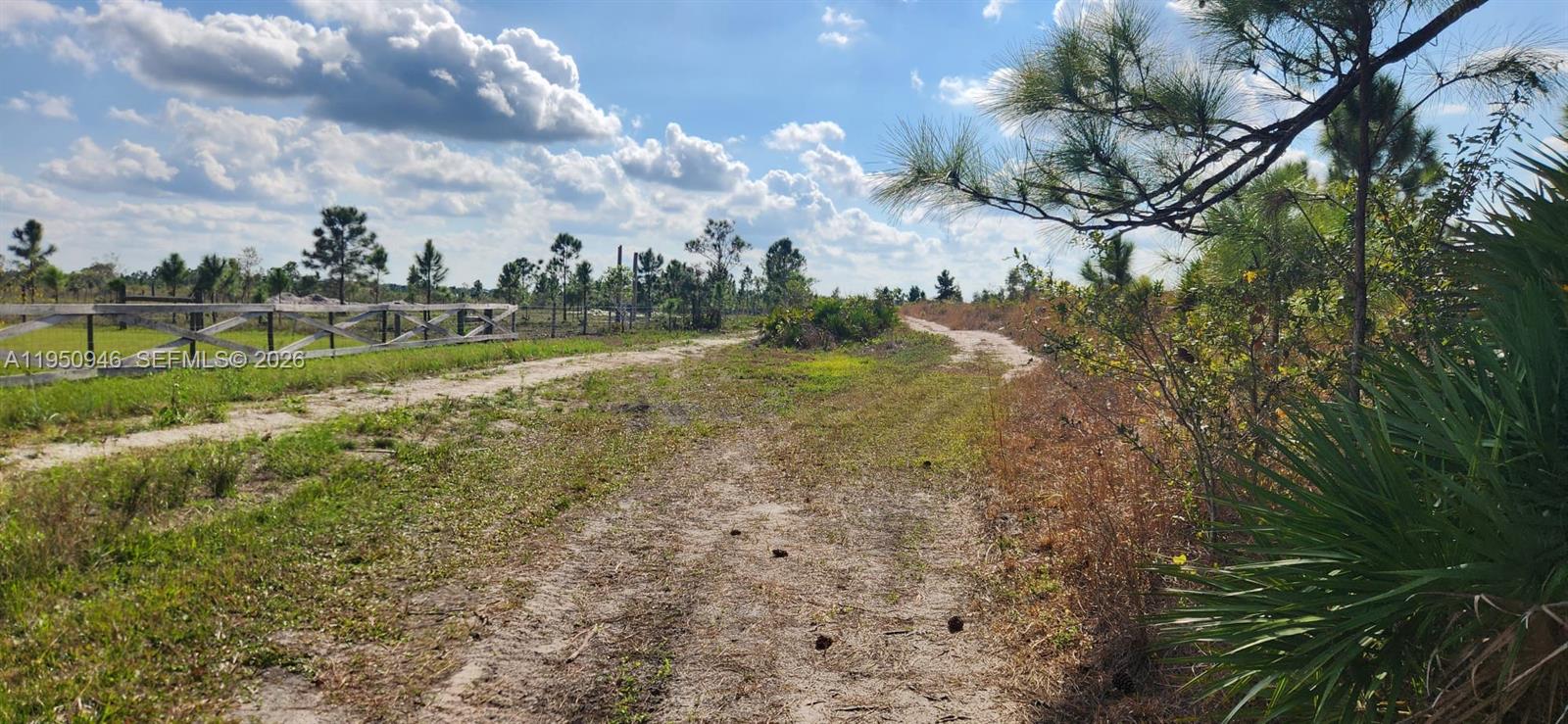 48345 Bermont Road Punta Gorda, FL 33982 - Photo 5 of 18 a view of a lake with houses in the back