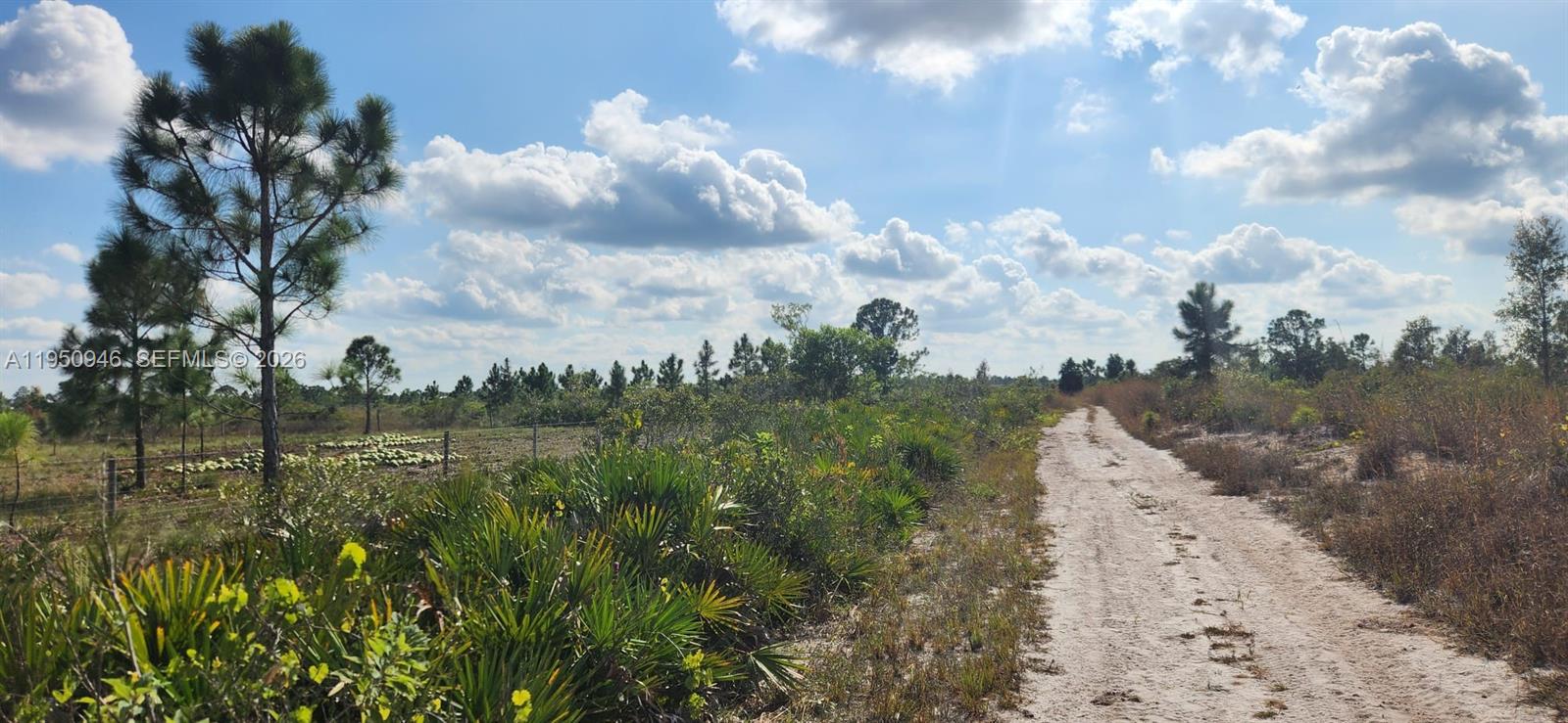 48345 Bermont Road Punta Gorda, FL 33982 - Photo 6 of 18 a view of a lake with houses in the back