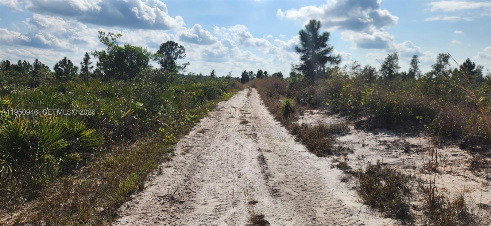 48345 Bermont Road Punta Gorda, FL 33982 - Photo 8 of 18 a view of a pathway with a yard of the house