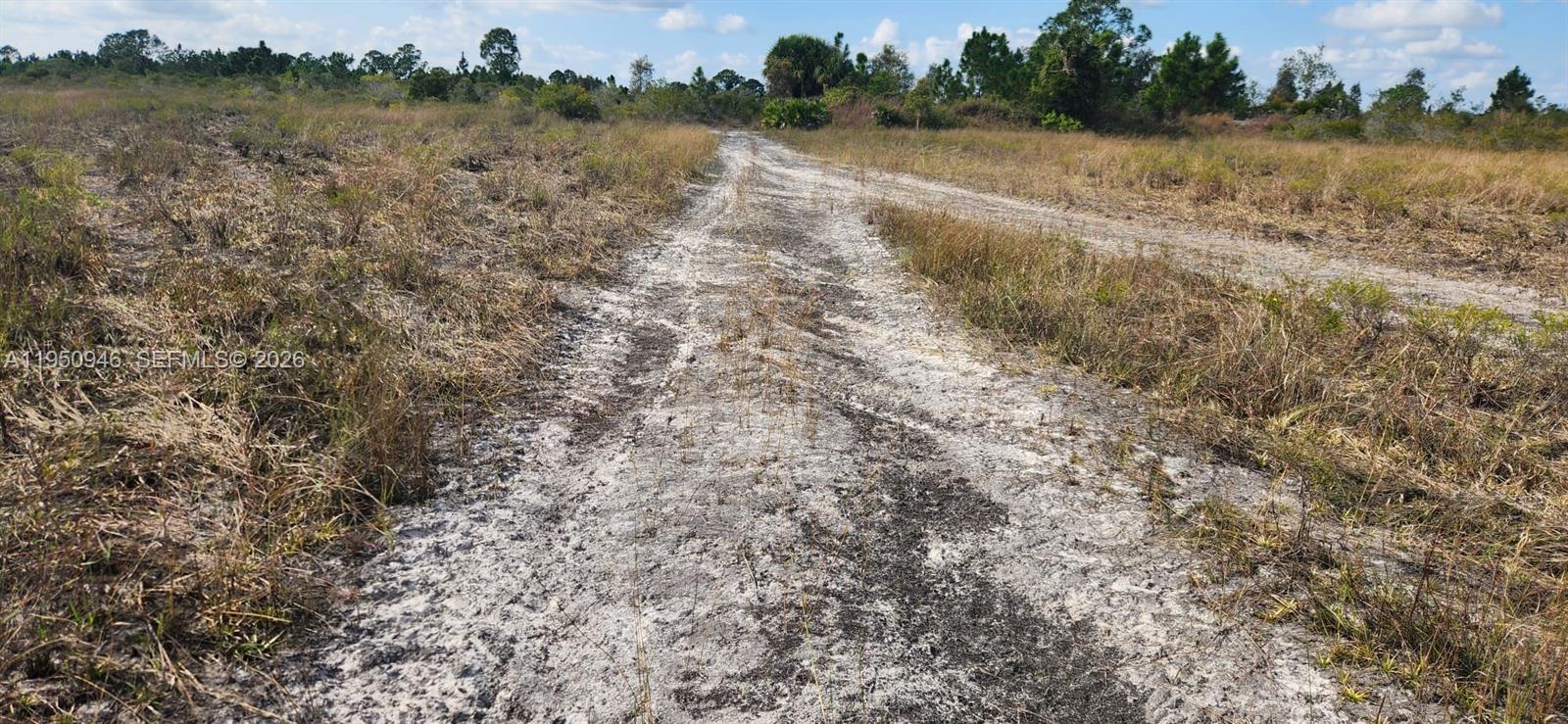 48345 Bermont Road Punta Gorda, FL 33982 - Photo 9 of 18 a view of lake with green space