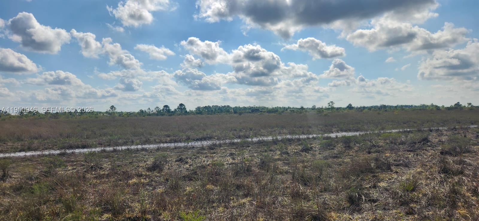 48345 Bermont Road Punta Gorda, FL 33982 - Photo 10 of 18 a view of a dry yard