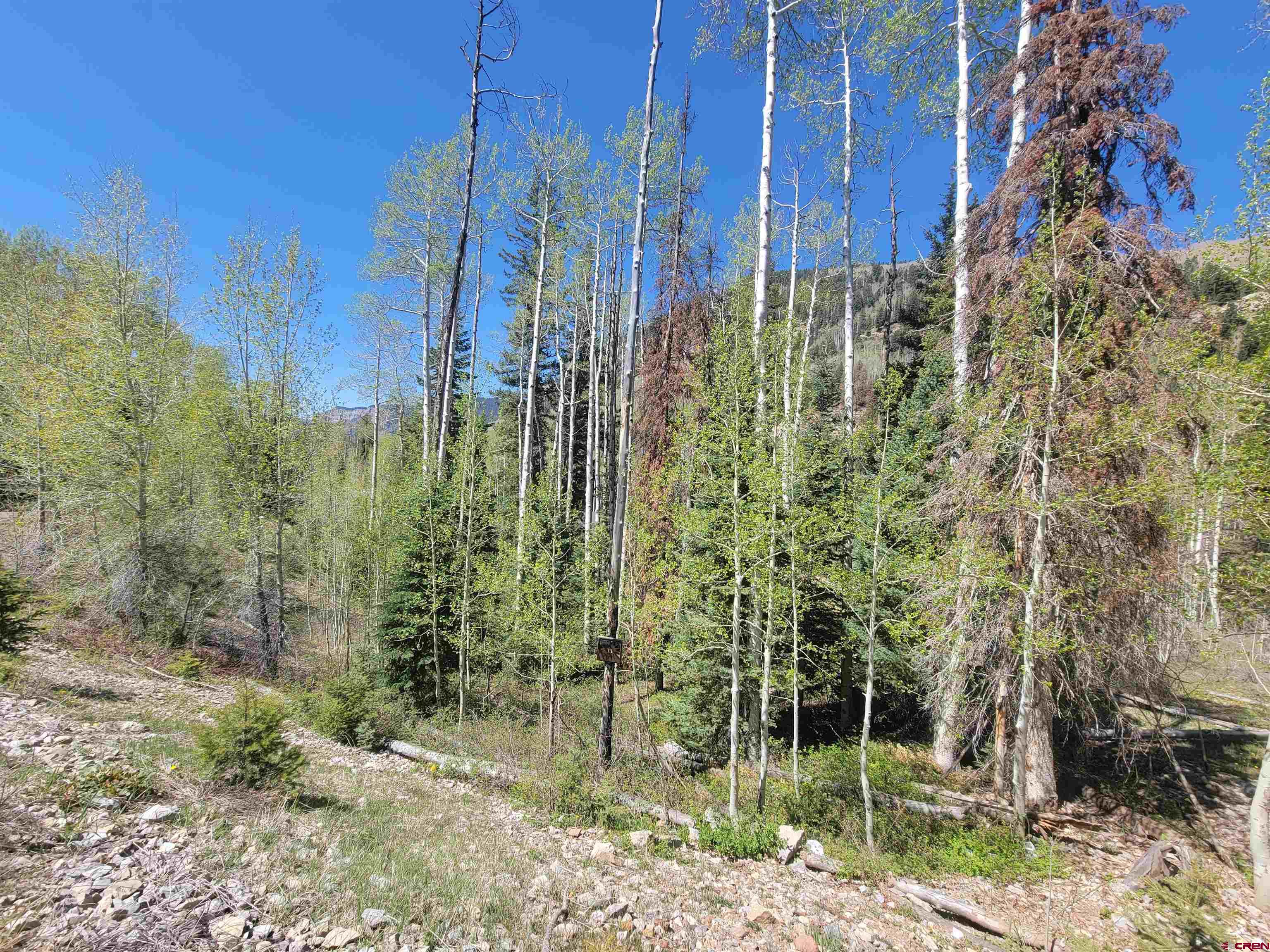 209 Engineer Drive Durango, CO 81301 - Photo 3 of 27