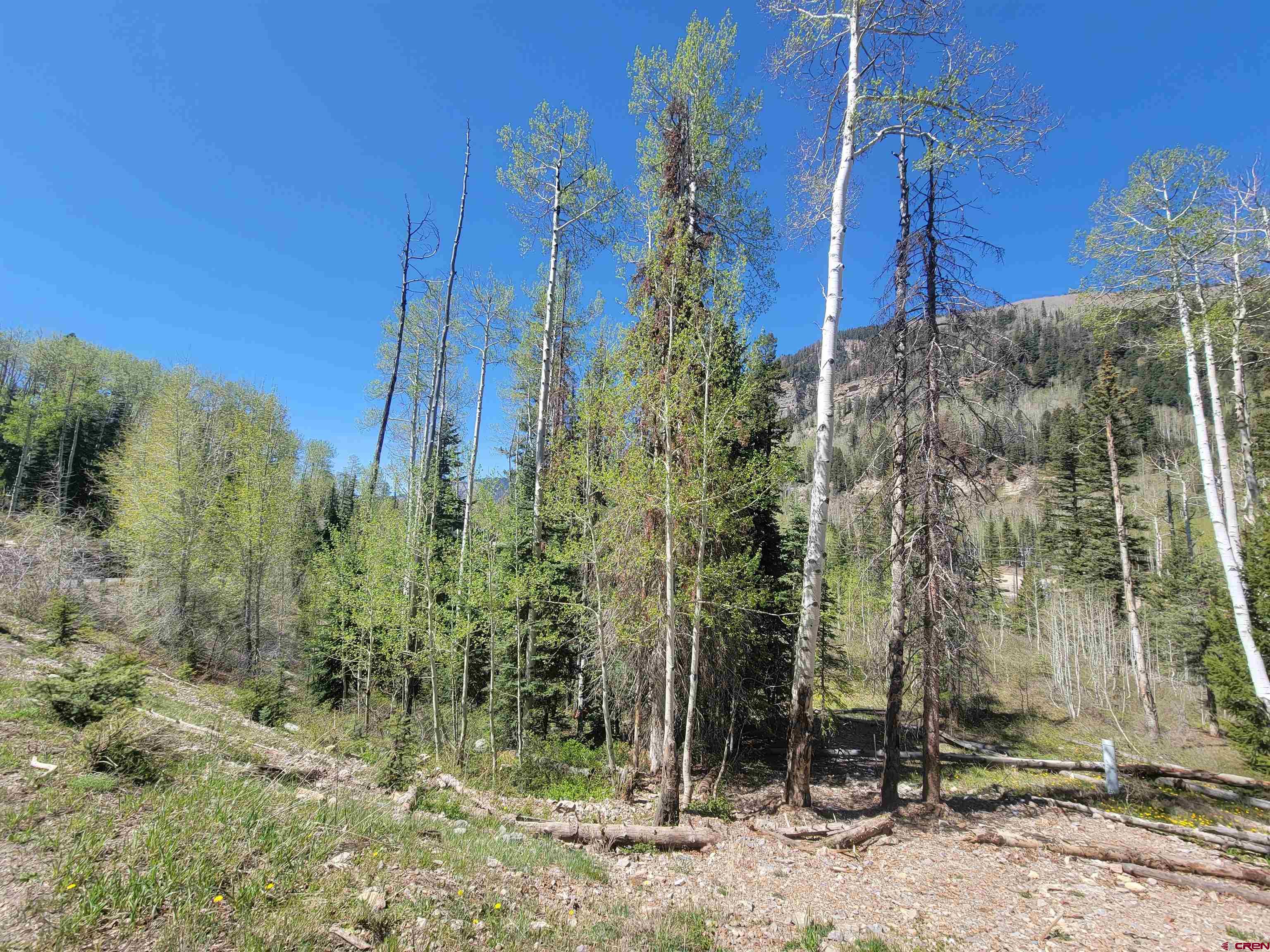 209 Engineer Drive Durango, CO 81301 - Photo 4 of 27