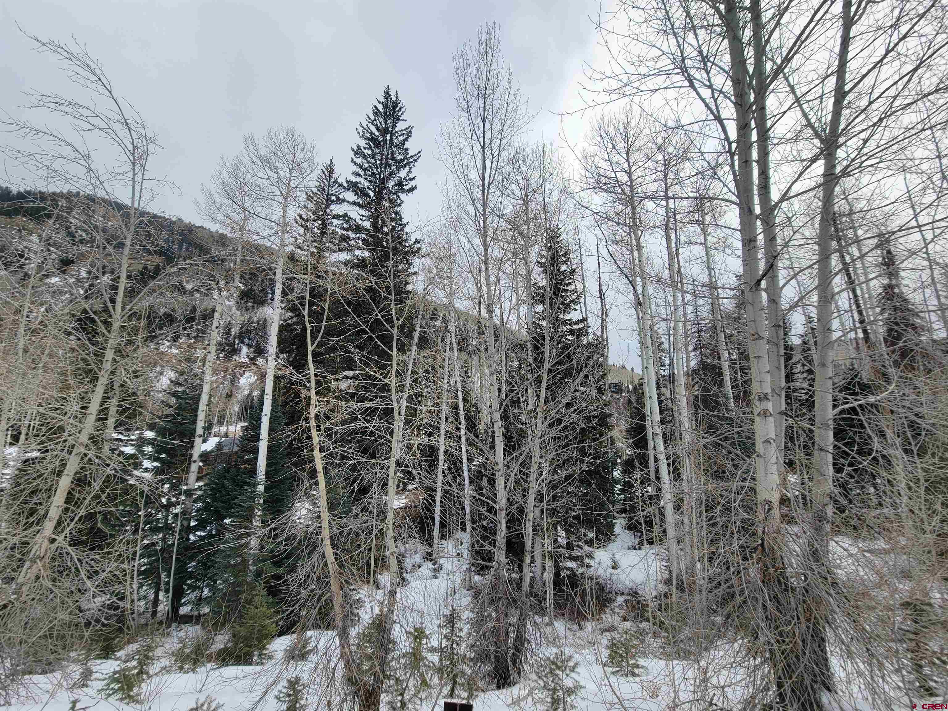 209 Engineer Drive Durango, CO 81301 - Photo 5 of 27