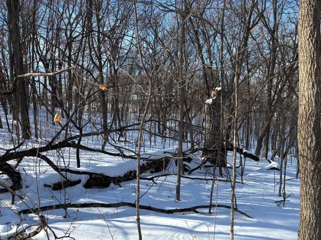 $199,000 | Tbd Fern Lane, Kensington, MN 56343