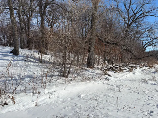 $199,000 | Tbd Fern Lane, Kensington, MN 56343