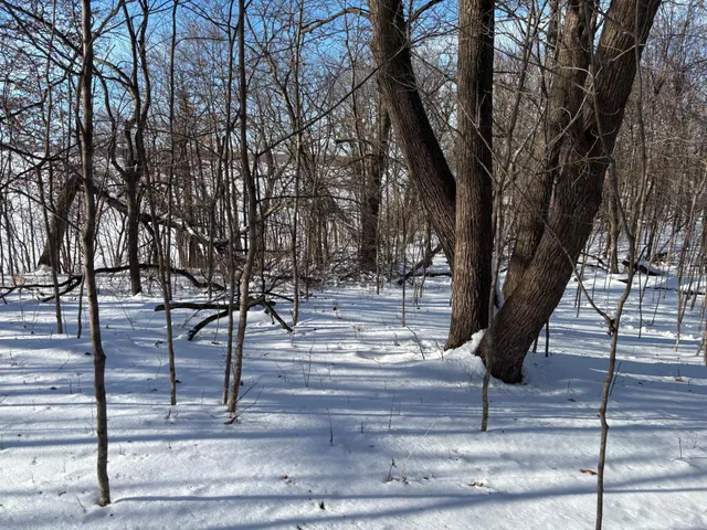 $199,000 | Tbd Fern Lane, Kensington, MN 56343