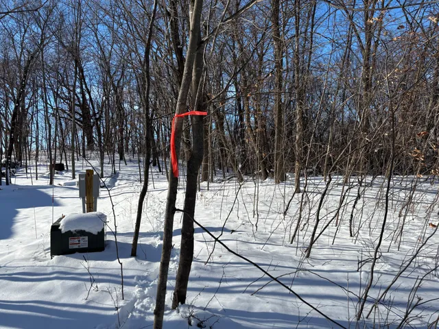 $199,000 | Tbd Fern Lane, Kensington, MN 56343