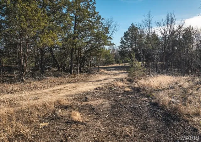 $153,000 | -tbd Dohman House Lane, Loose Creek, MO 65054