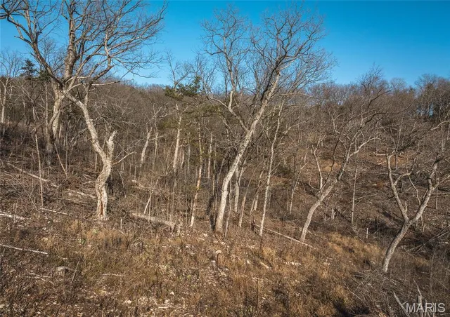 $153,000 | -tbd Dohman House Lane, Loose Creek, MO 65054