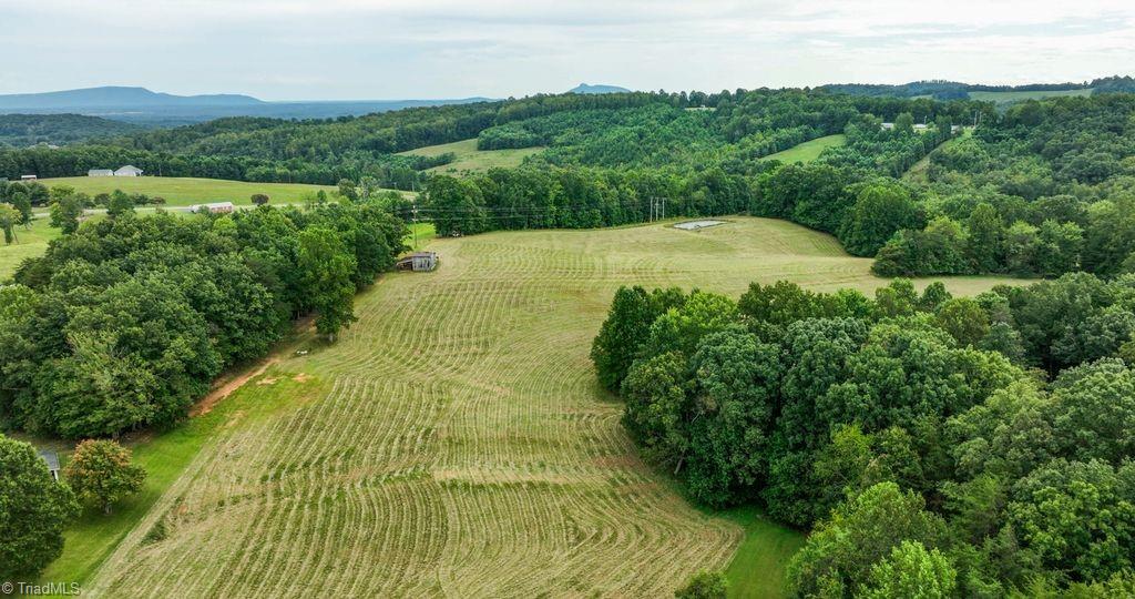 733 Slate Mountain Road Mount Airy, NC 27030 - Photo 14 of 32