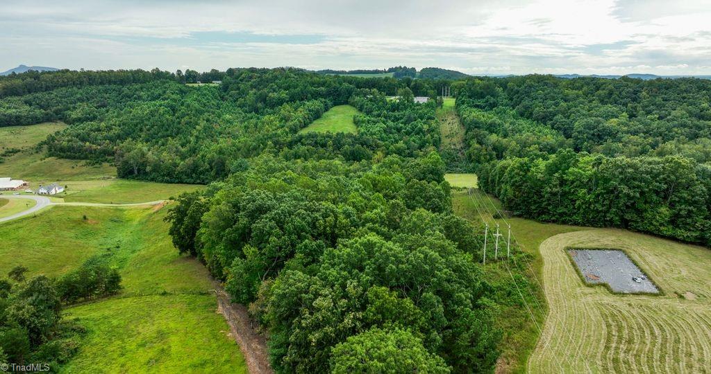 733 Slate Mountain Road Mount Airy, NC 27030 - Photo 23 of 32