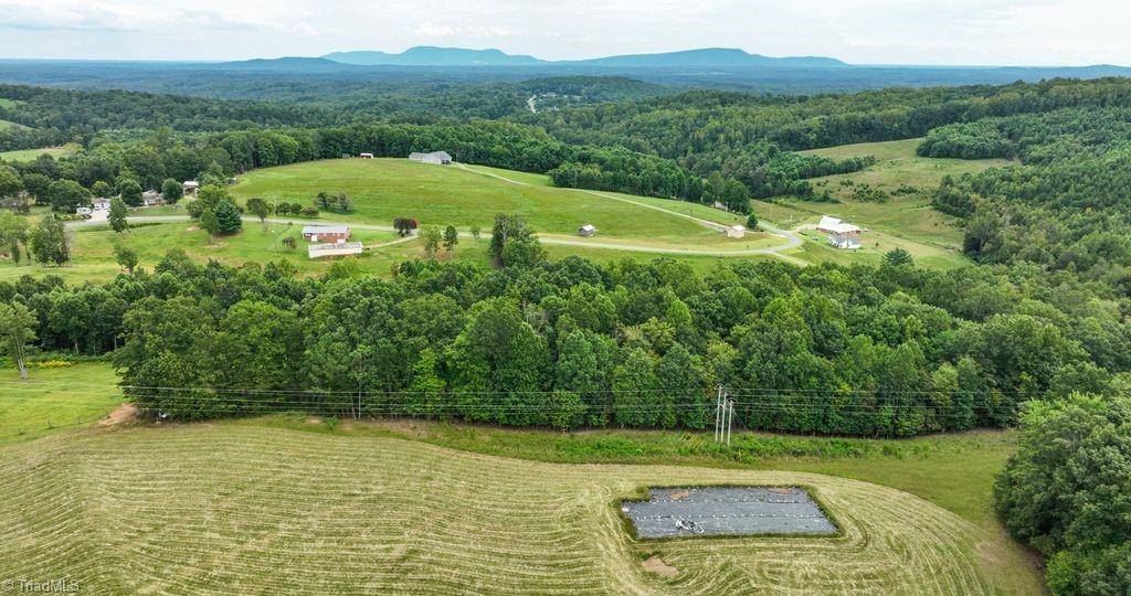 733 Slate Mountain Road Mount Airy, NC 27030 - Photo 24 of 32