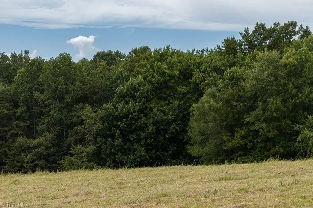 $220,000 | 733 Slate Mountain Road, Mount Airy, NC 27030