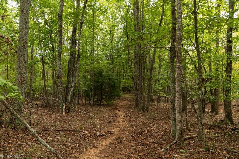 733 Slate Mountain Road Mount Airy, NC 27030 - Photo 29 of 32