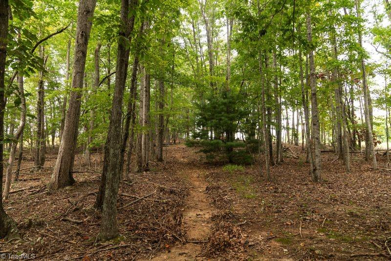 733 Slate Mountain Road Mount Airy, NC 27030 - Photo 30 of 32