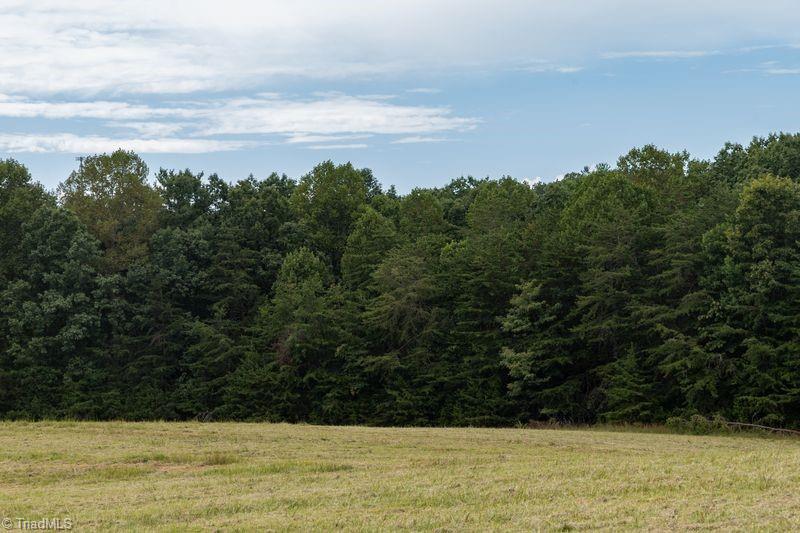 733 Slate Mountain Road Mount Airy, NC 27030 - Photo 31 of 32