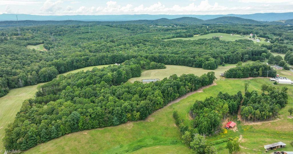 733 Slate Mountain Road Mount Airy, NC 27030 - Photo 6 of 32