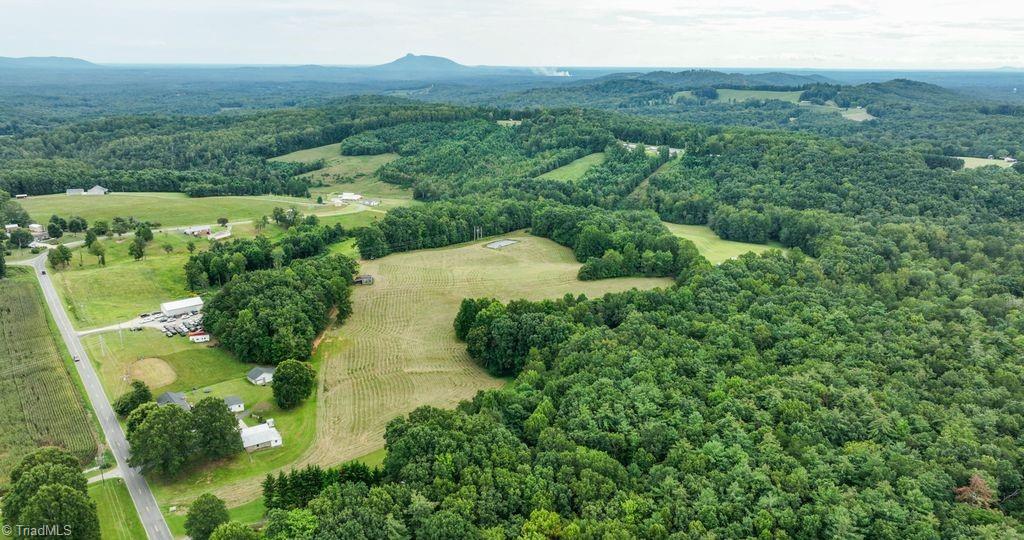 733 Slate Mountain Road Mount Airy, NC 27030 - Photo 10 of 32