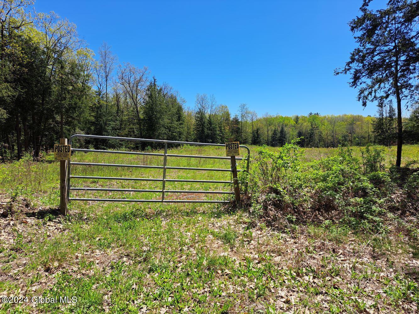 3.11 Longwoods Road Buskirk, NY 12028 - Photo 1 of 16 20240507_132209