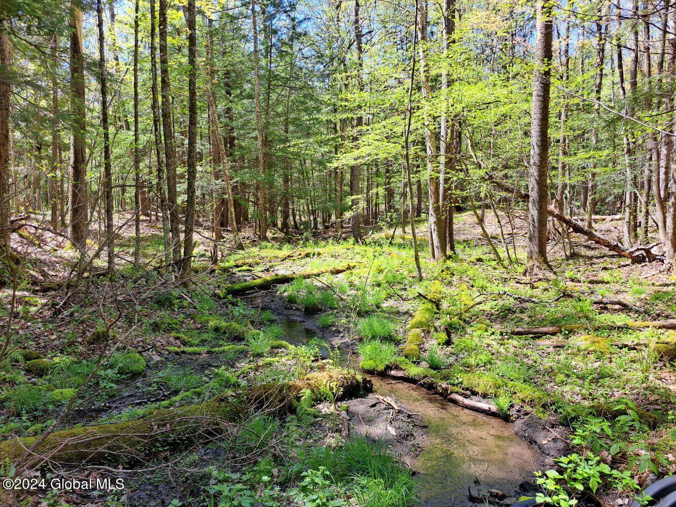 3.11 Longwoods Road Buskirk, NY 12028 - Photo 11 of 16 20240507_133139