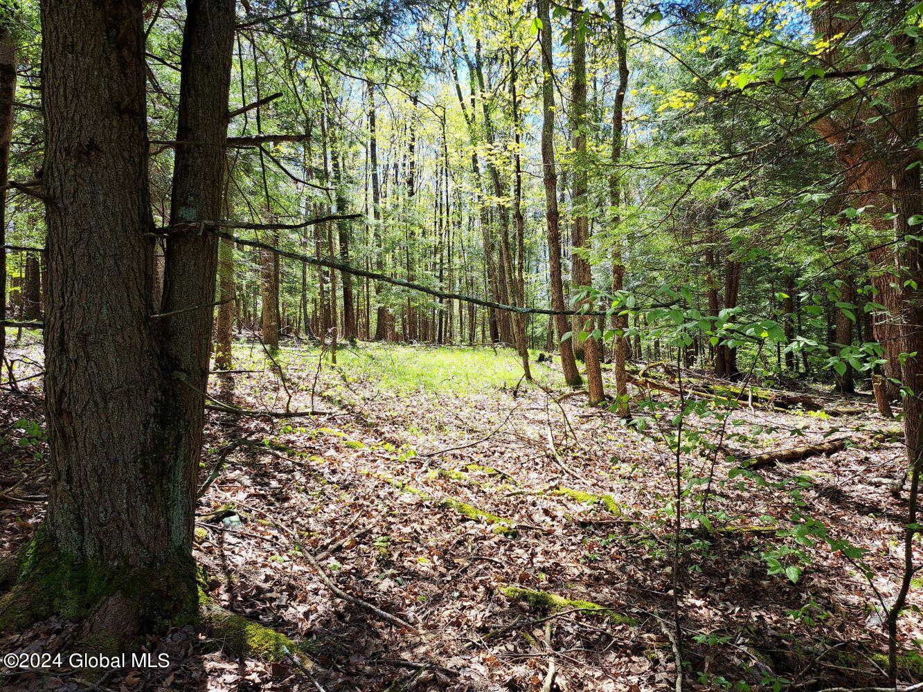 3.11 Longwoods Road Buskirk, NY 12028 - Photo 14 of 16 20240507_133510