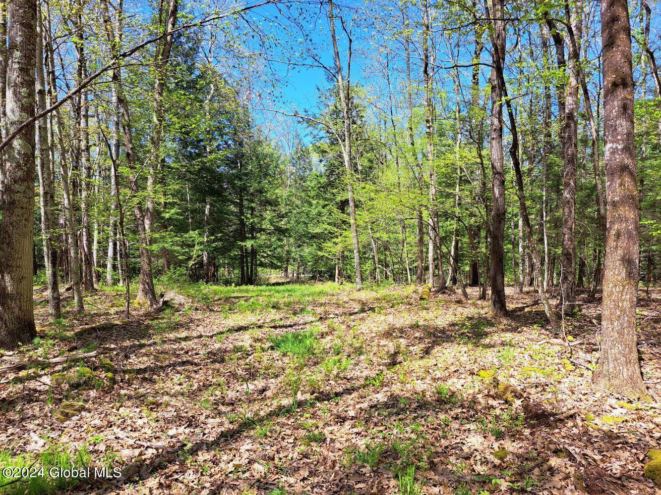 3.11 Longwoods Road Buskirk, NY 12028 - Photo 15 of 16 20240507_133618