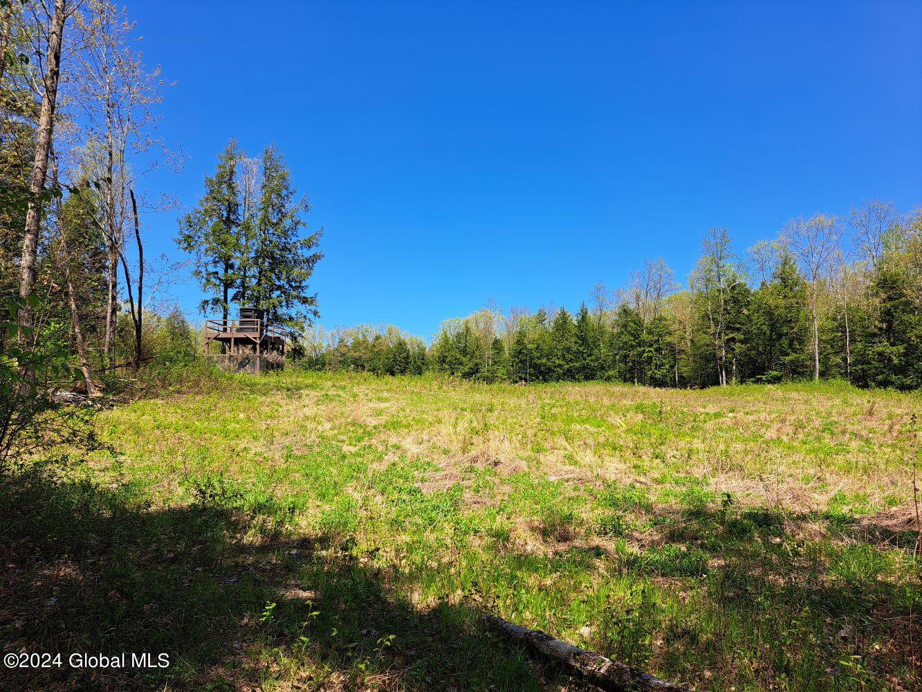 3.11 Longwoods Road Buskirk, NY 12028 - Photo 16 of 16 20240507_134655