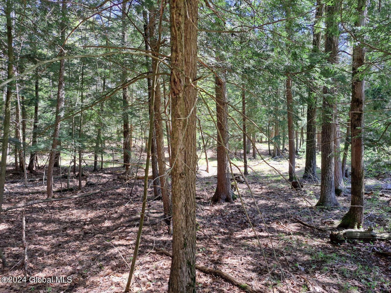 3.11 Longwoods Road Buskirk, NY 12028 - Photo 4 of 16 20240507_132303