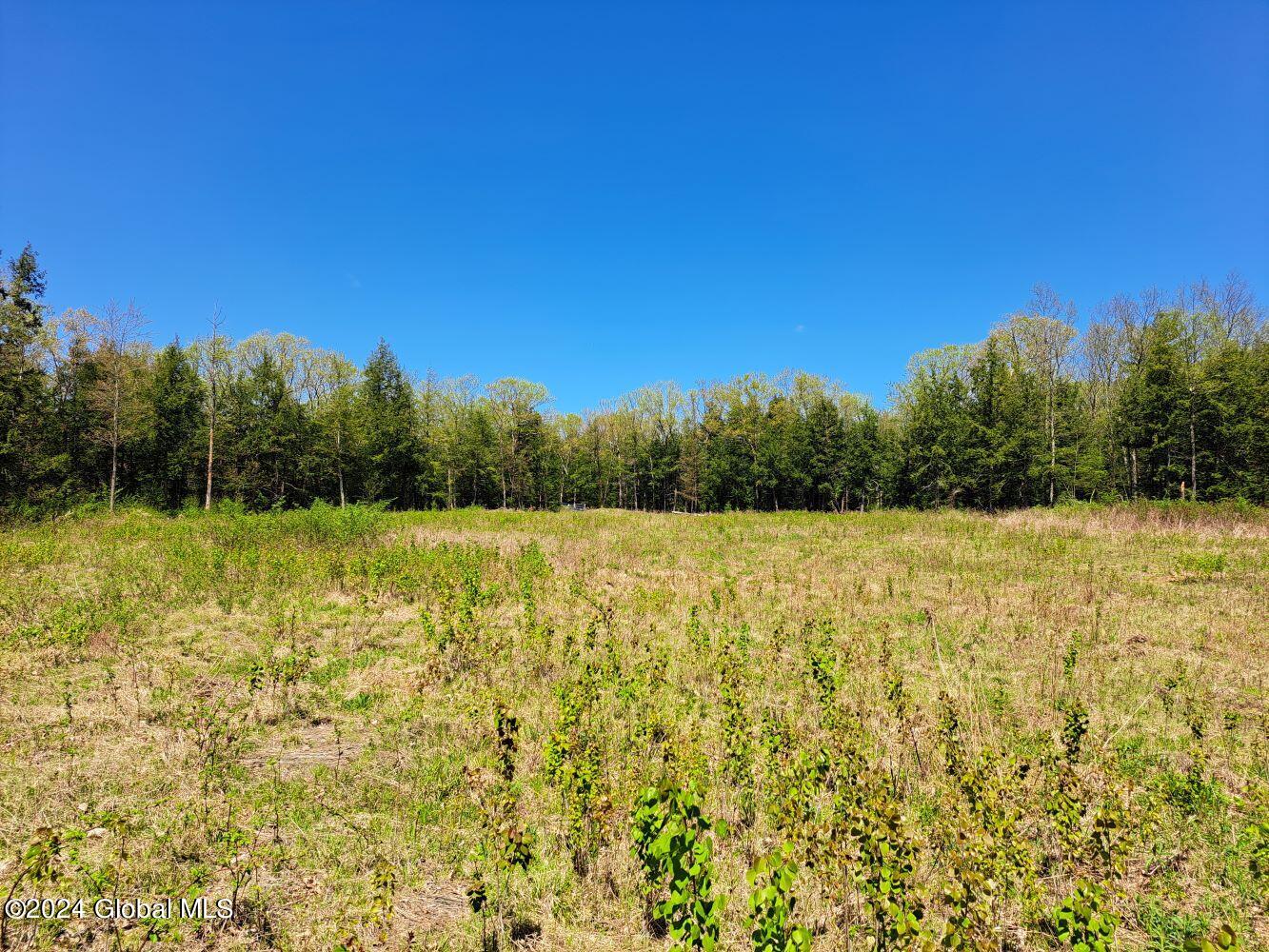 3.11 Longwoods Road Buskirk, NY 12028 - Photo 6 of 16 20240507_132727