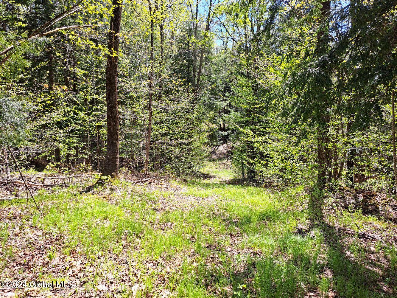 3.11 Longwoods Road Buskirk, NY 12028 - Photo 10 of 16 20240507_133051